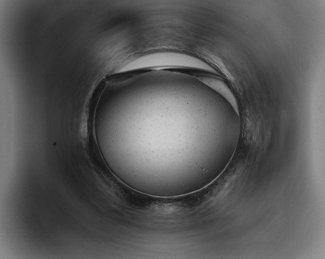 X0000093420299200710121148