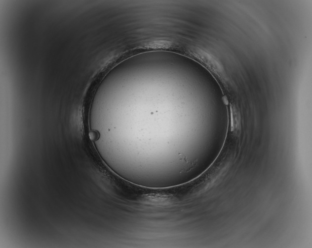 X0000093420300200710121148