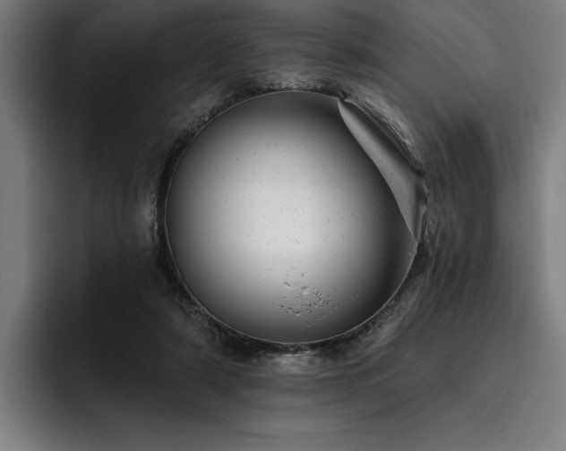 X0000093420306200710121148