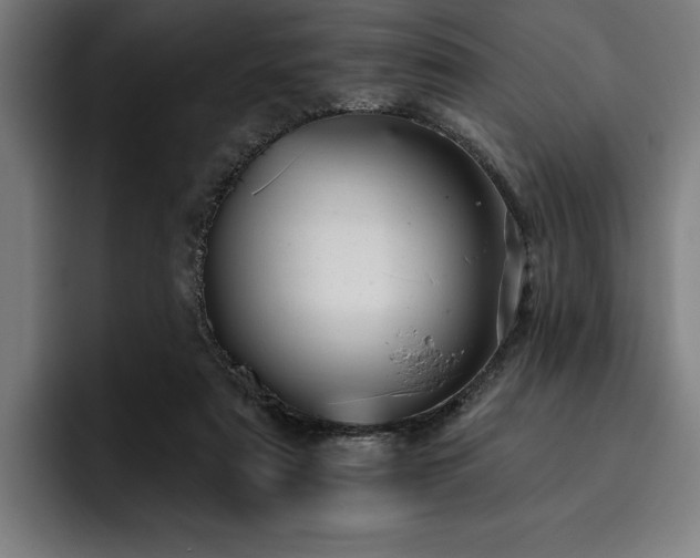 X0000093420307200710121148