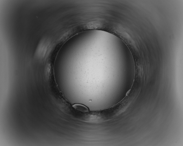 X0000093420308200710121148