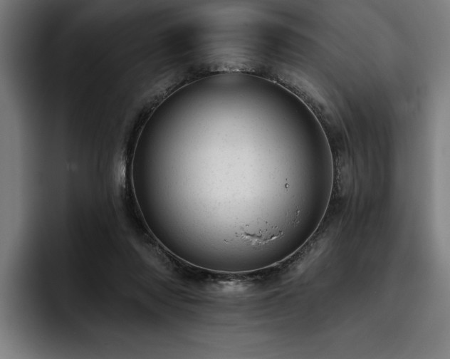 X0000093420310200710121148