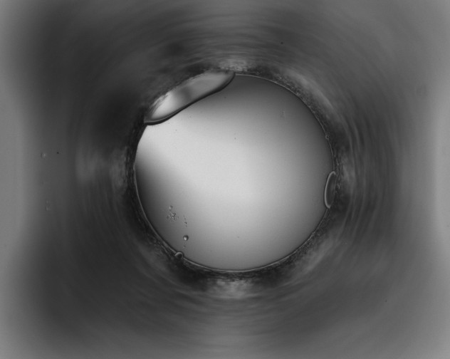 X0000093420311200710121148