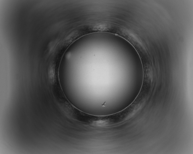 X0000093420312200710121148