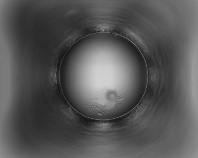X0000093420313200710121148