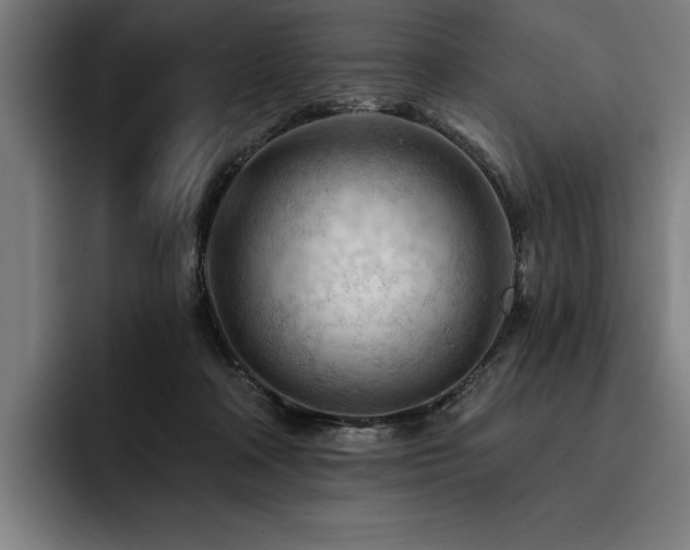 X0000093420314200710121148