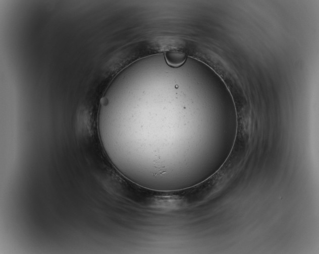 X0000093420316200710121148