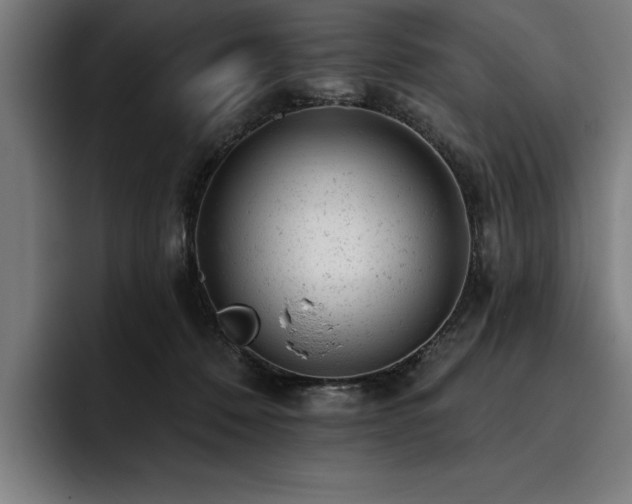 X0000093420320200710121148