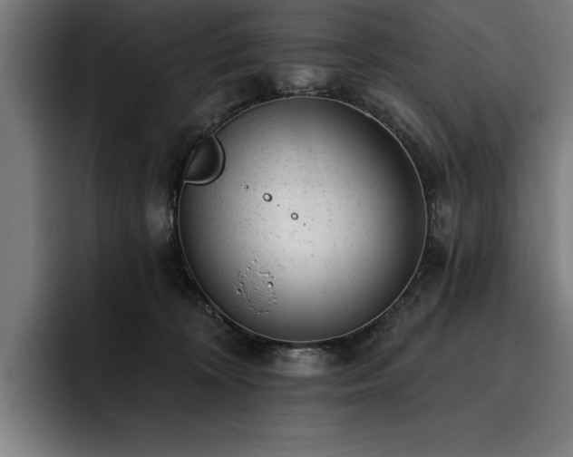 X0000093420324200710121148