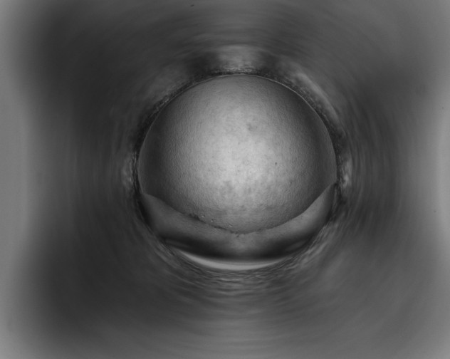 X0000093420325200710121148