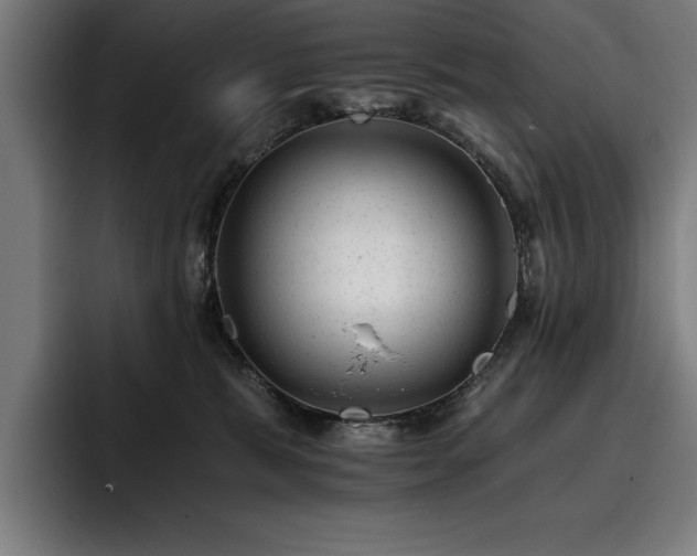 X0000093420327200710121148