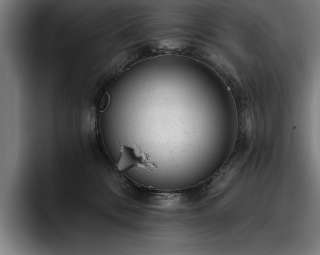 X0000093420328200710121148