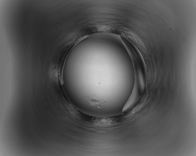X0000093420329200710121148