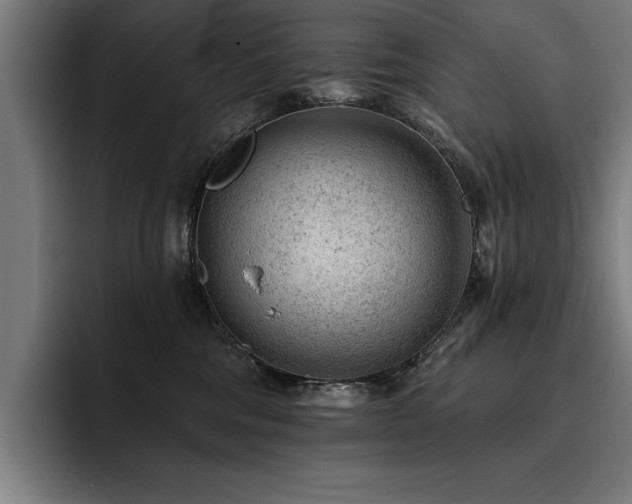 X0000093420330200710121148
