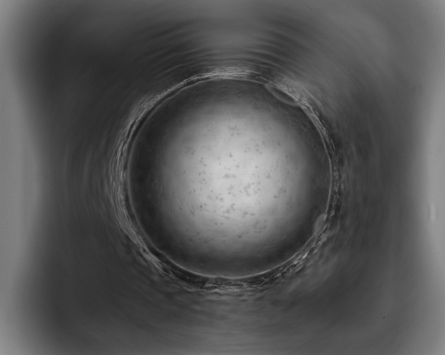 X0000093420337200710121147