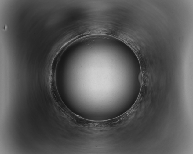 X0000093420338200710121147