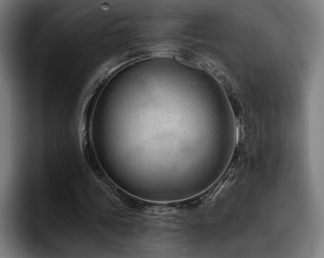 X0000093420339200710121147