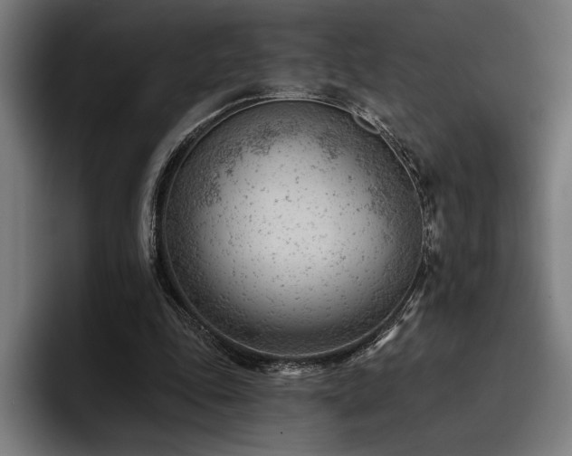 X0000093420343200710121147