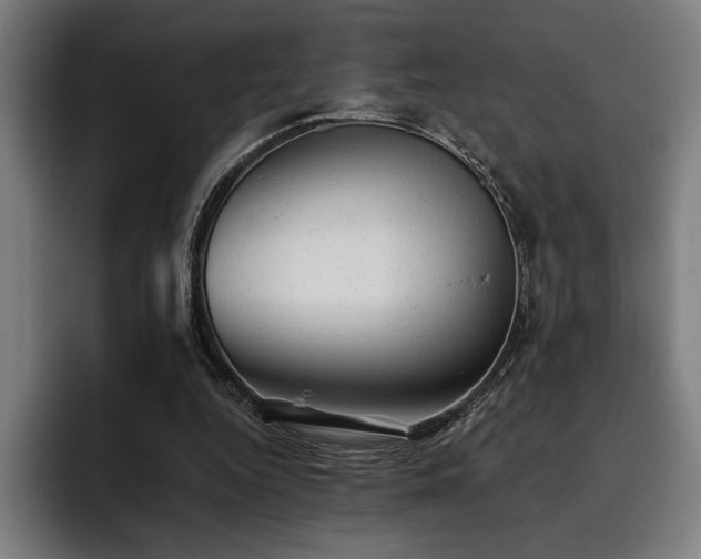 X0000093420344200710121147