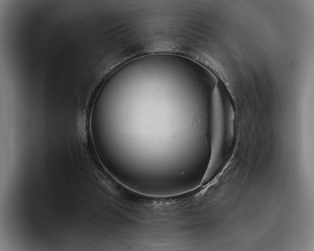 X0000093420345200710121147