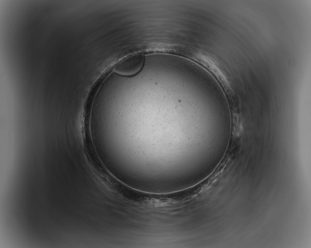 X0000093420346200710121147
