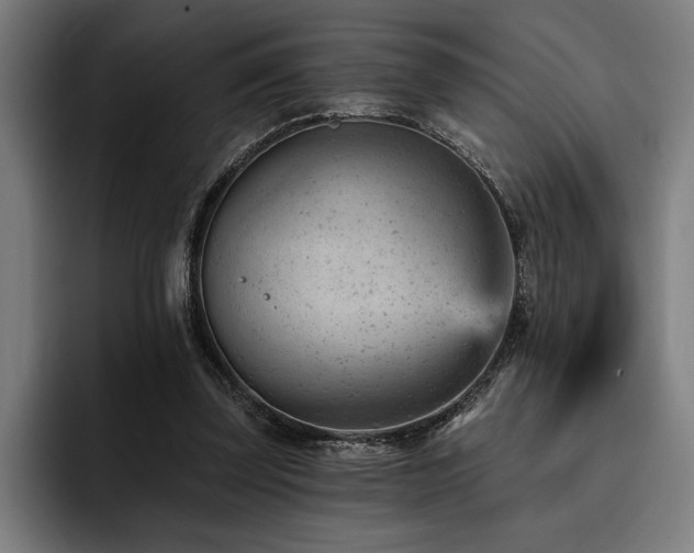 X0000093420347200710121147