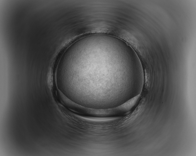 X0000093420348200710121147