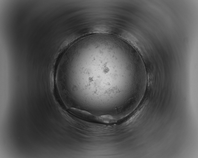 X0000093420349200710121147