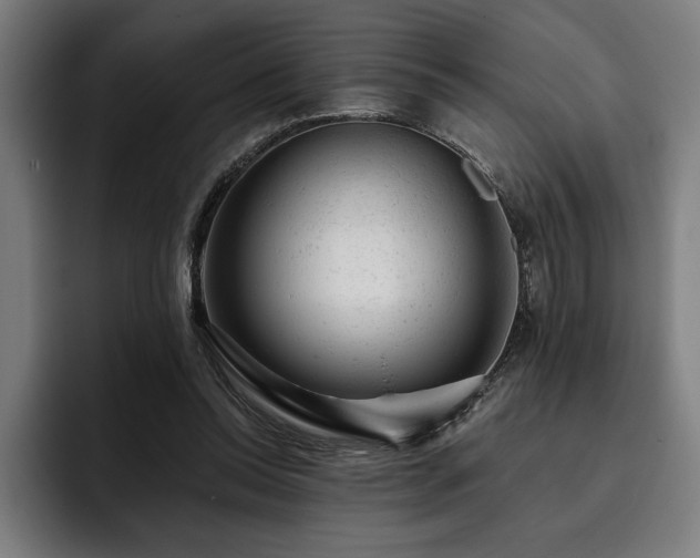 X0000093420350200710121147