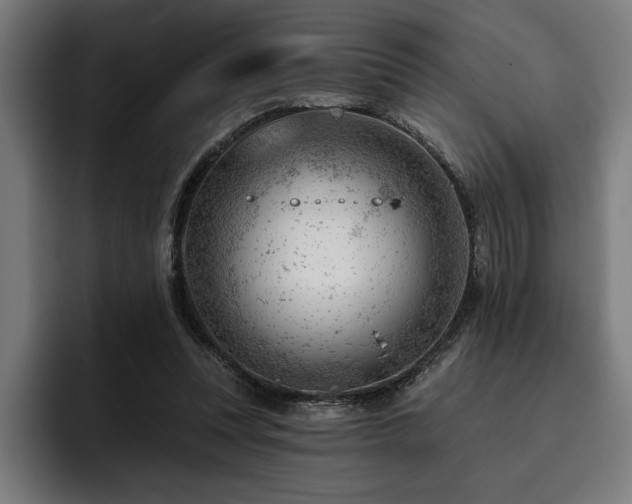 X0000093420351200710121147