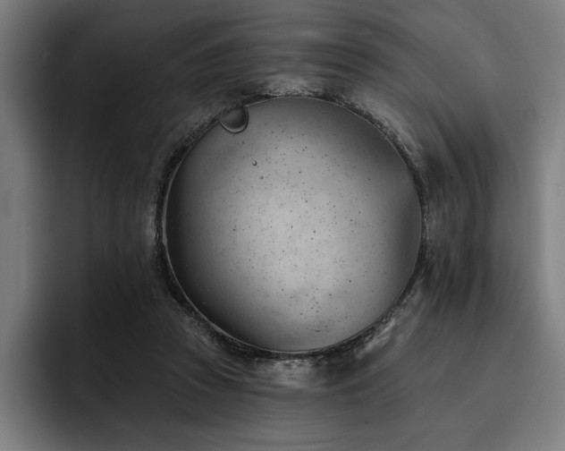 X0000093420353200710121148