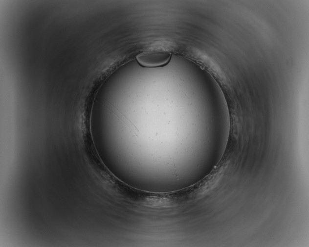 X0000093420354200710121148