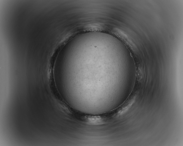 X0000093420355200710121148