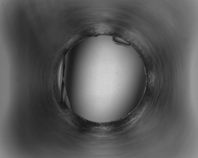 X0000093420356200710121148