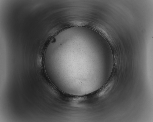 X0000093420357200710121148