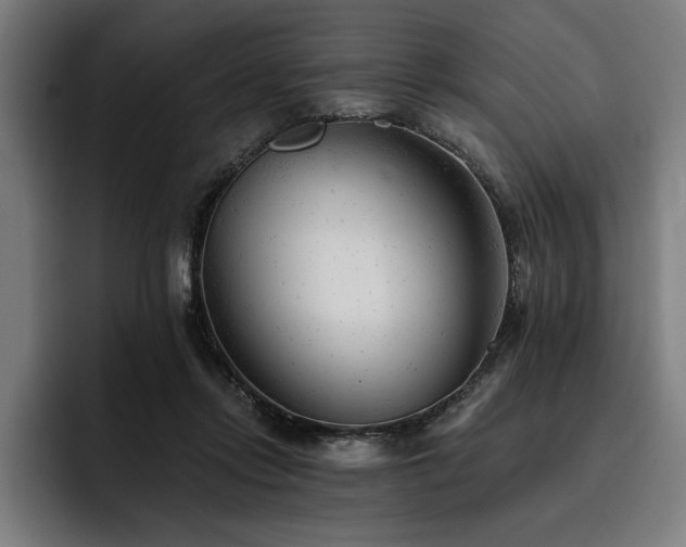 X0000093420358200710121148