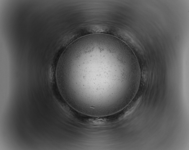 X0000093420359200710121148