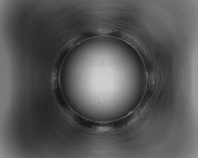 X0000093420360200710121148
