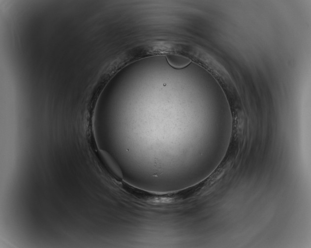 X0000093420361200710121148