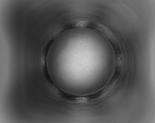 X0000093420363200710121148