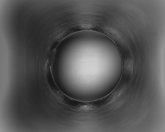 X0000093420364200710121148