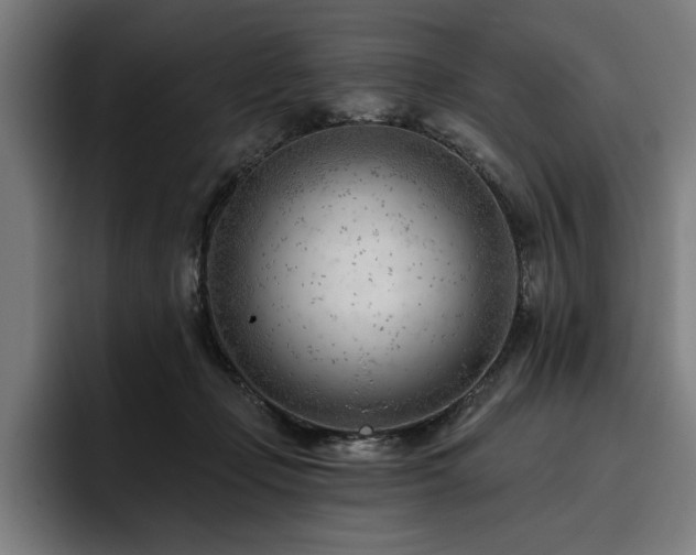 X0000093420365200710121148