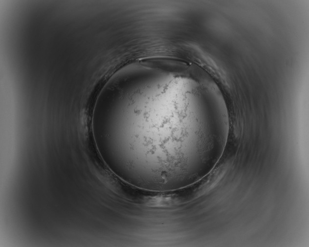 X0000093420366200710121148
