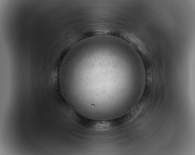 X0000093420369200710121148