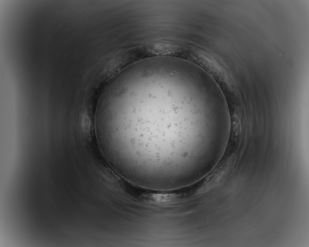 X0000093420371200710121148