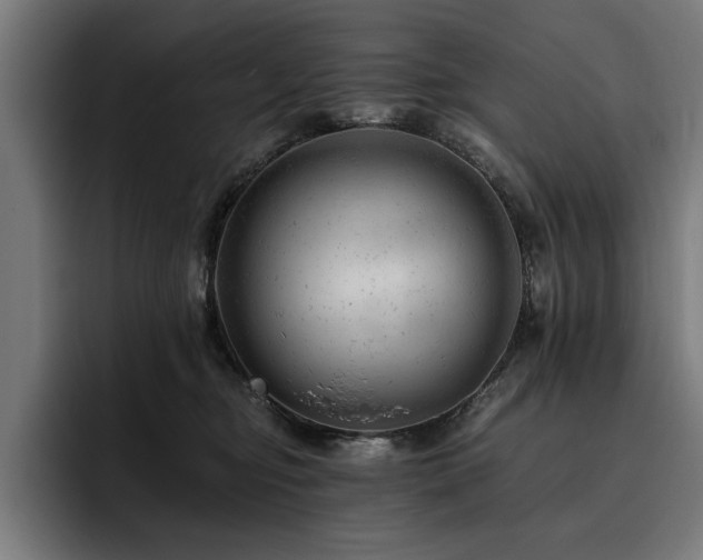 X0000093420374200710121148