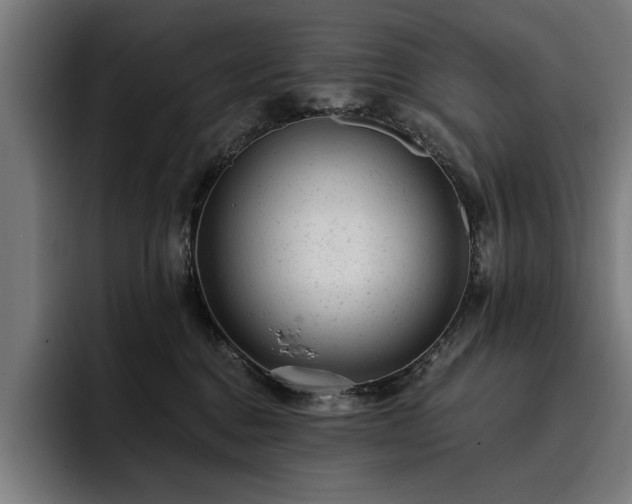 X0000093420376200710121148