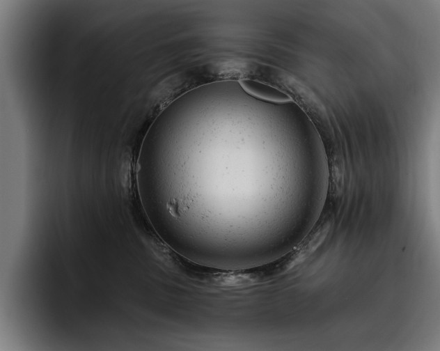 X0000093420379200710121148