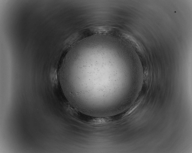 X0000093420381200710121148