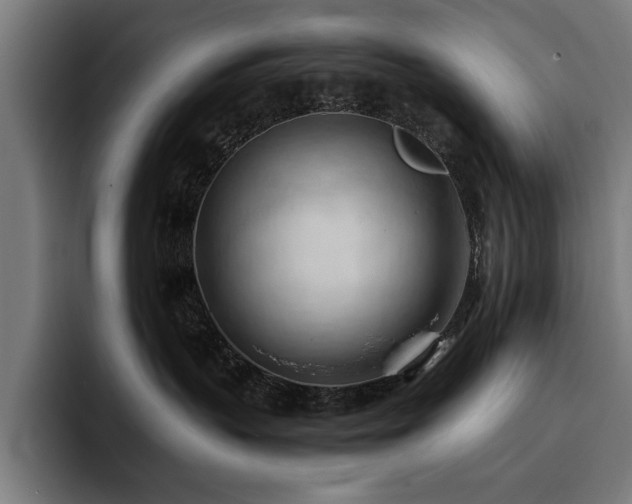 X0000093420383200710121148